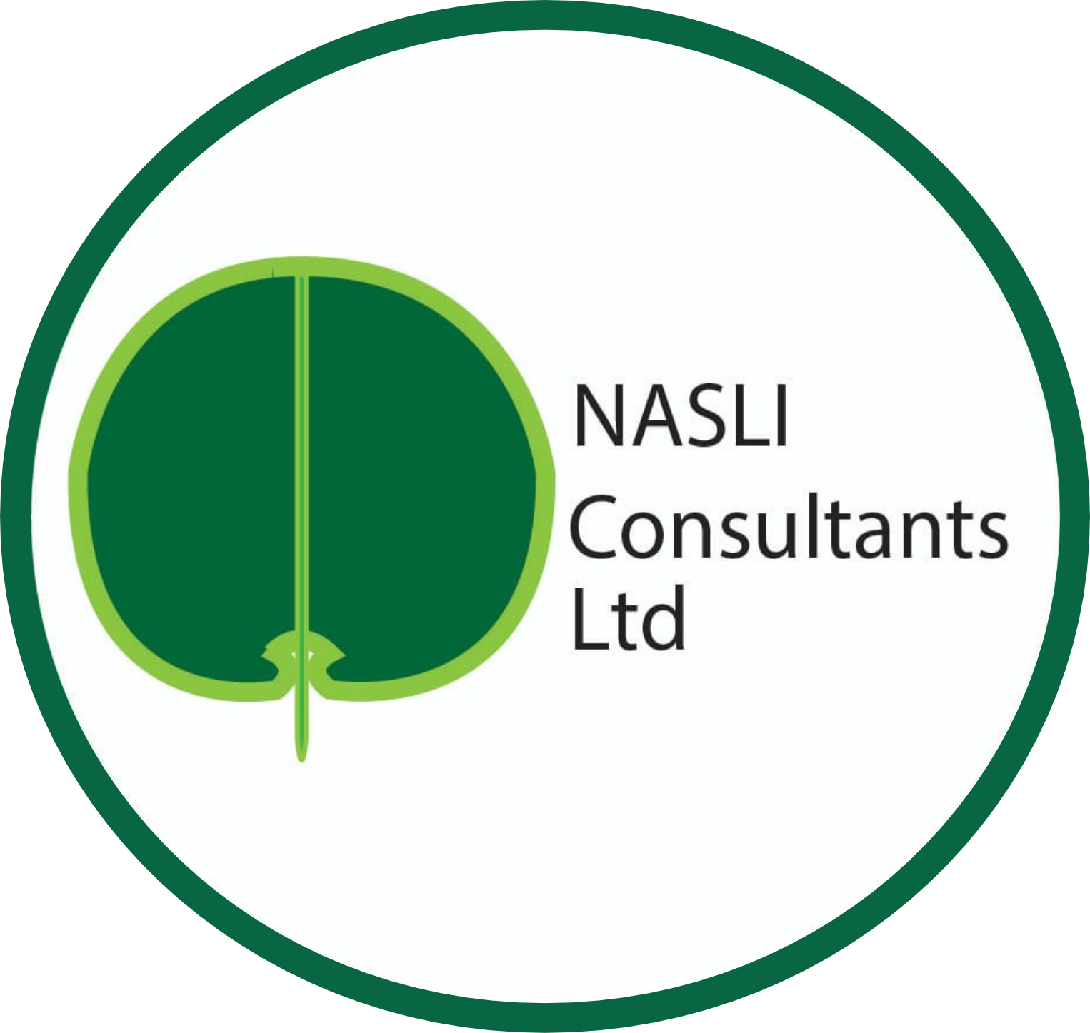 Nasli Consultants Logo